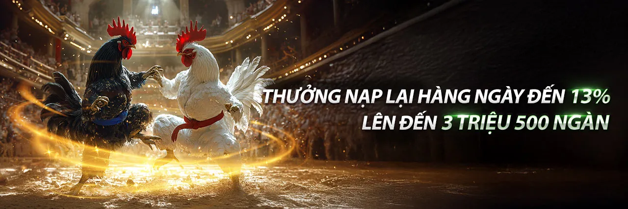Sàn đấu gà trực tiếp sôi động của Đá Gà 67